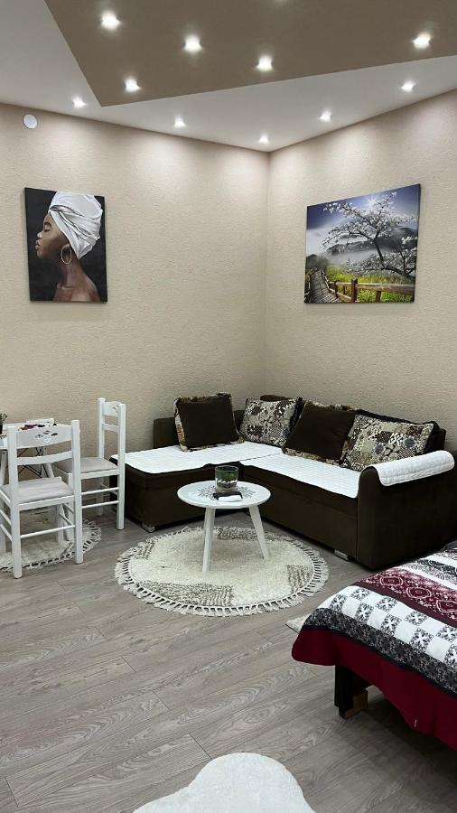 Apartment Downtown พอดโกริกา ภายนอก รูปภาพ