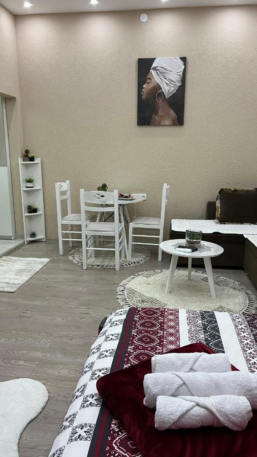 Apartment Downtown พอดโกริกา ภายนอก รูปภาพ